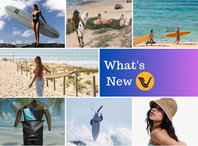 What's New Summer